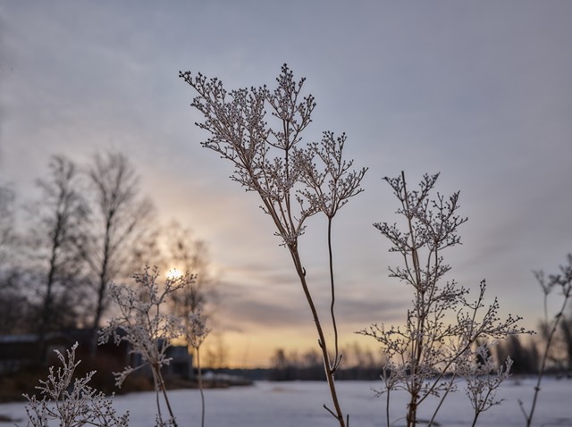 Fujifilm GFX100RF_29w.jpg