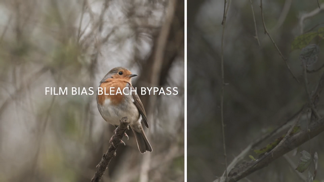 Film Bias bleach bypass.png