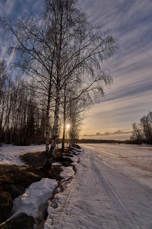 Panasonic S1R II_14w.jpg