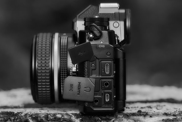 Nikon Zf_3.jpg