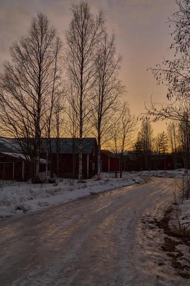 Panasonic S1R II_1w.jpg