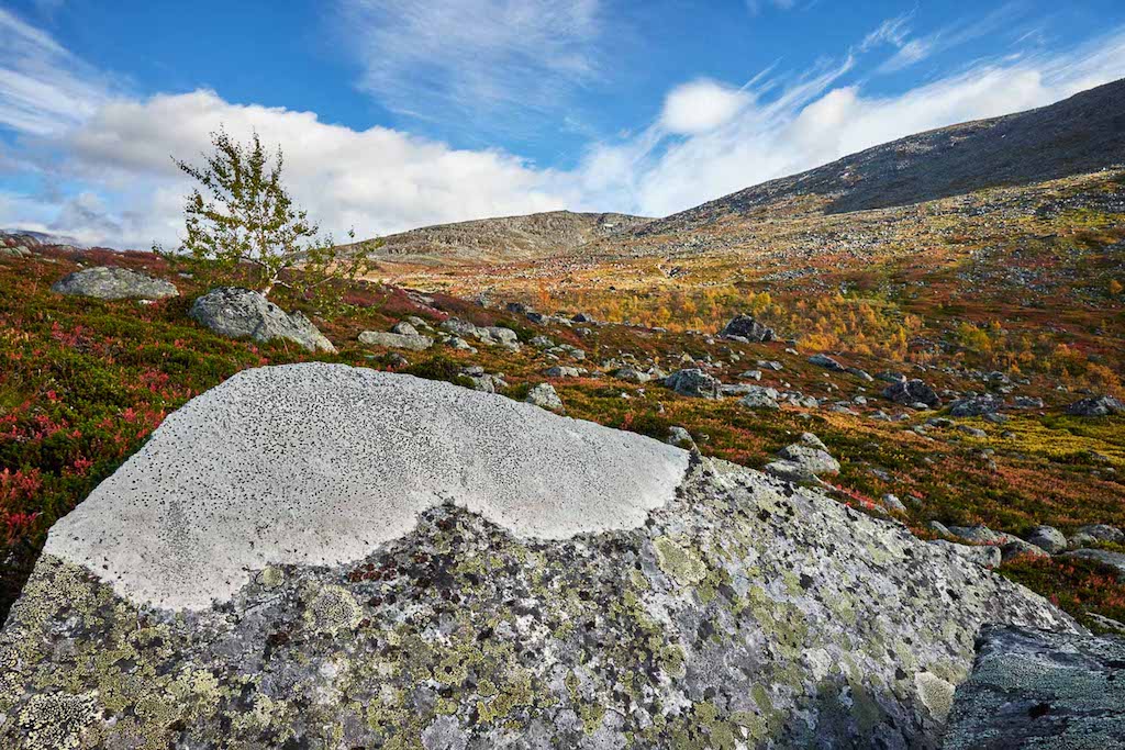 Laponia-sverige-fotoresa-serkan-günes-9.jpg