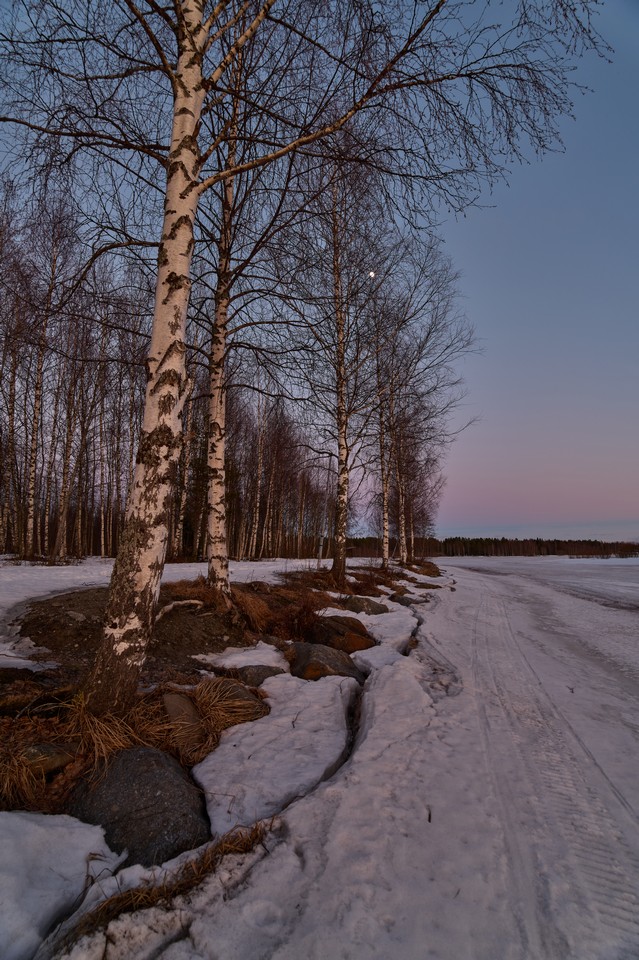 Panasonic S1R II_3w.jpg