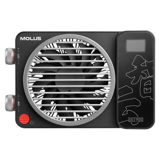 Molus X100 COB LED-lampa
