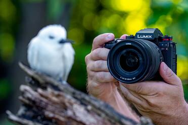 LUMIX S1RII fotograferar fågel