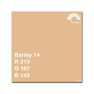 Bakgrundspapper 2,72 x 11 m, Barley 