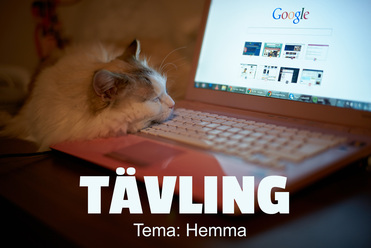 tävling_hemma.jpg