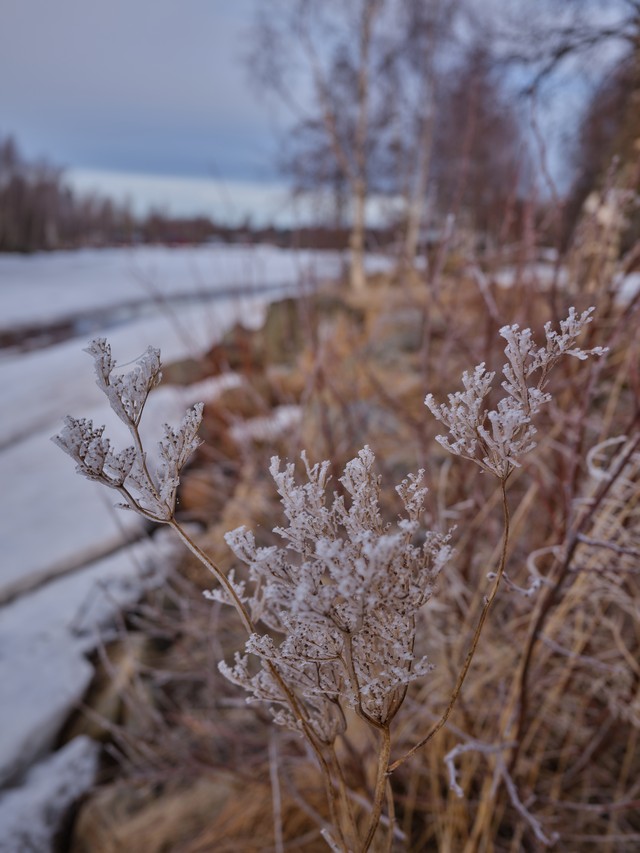 Fujifilm GFX100RF_27w.jpg